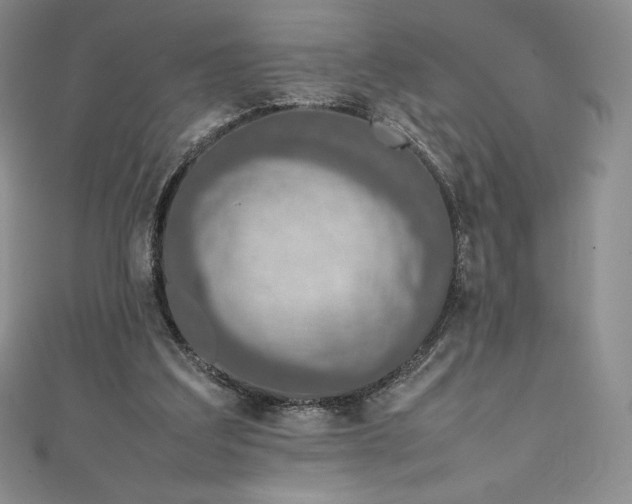 X0000111140203200906301237