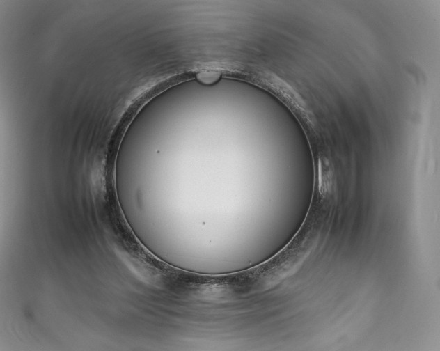 X0000111140204200906301237