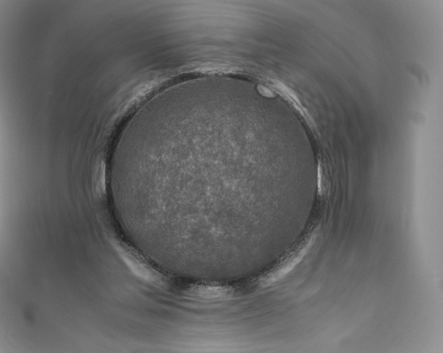 X0000111140205200906301237