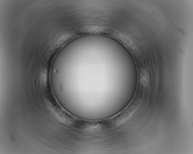 X0000111140206200906301237