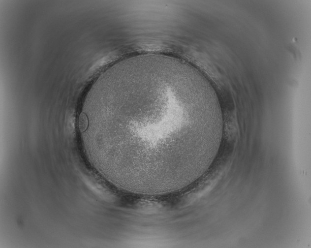 X0000111140207200906301237