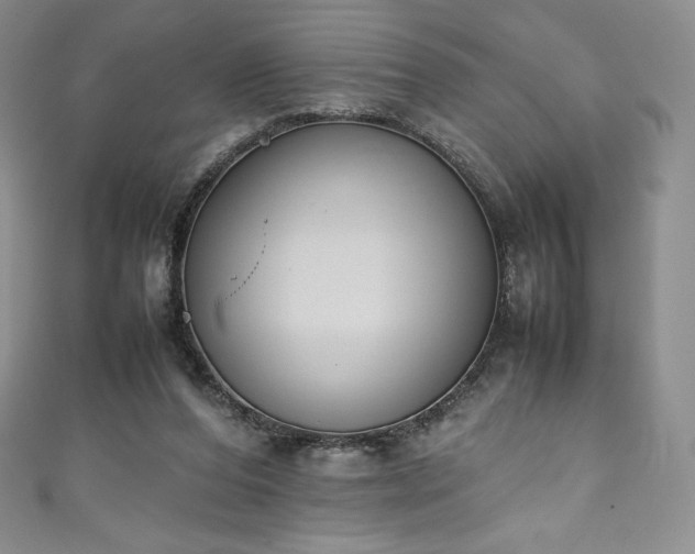 X0000111140208200906301237