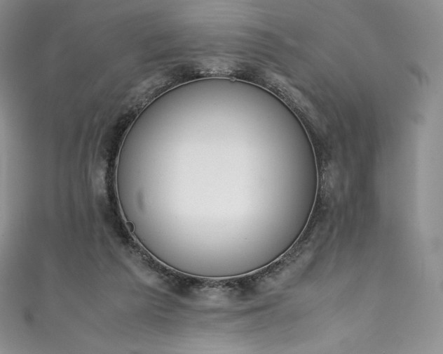 X0000111140209200906301237