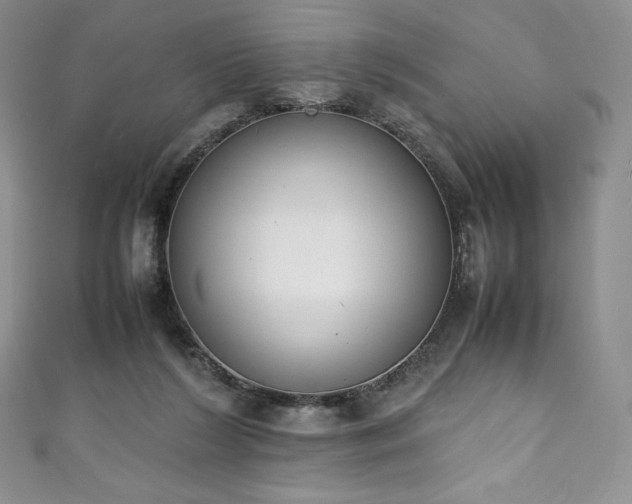 X0000111140212200906301237