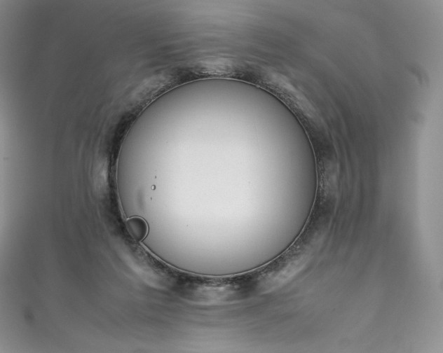 X0000111140213200906301237