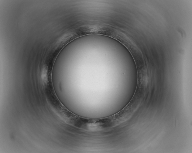 X0000111140216200906301237