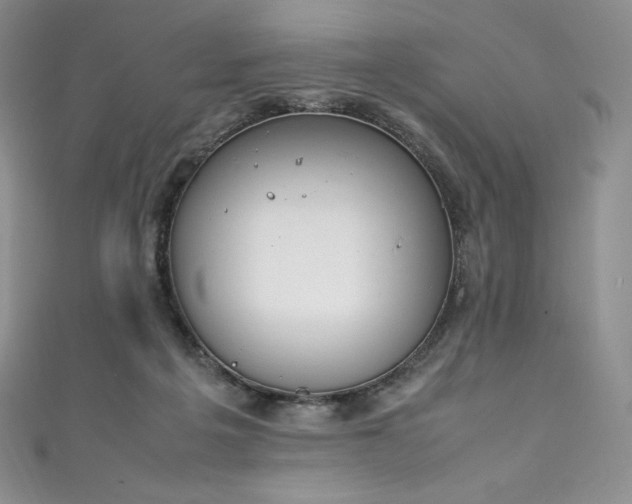 X0000111140217200906301237