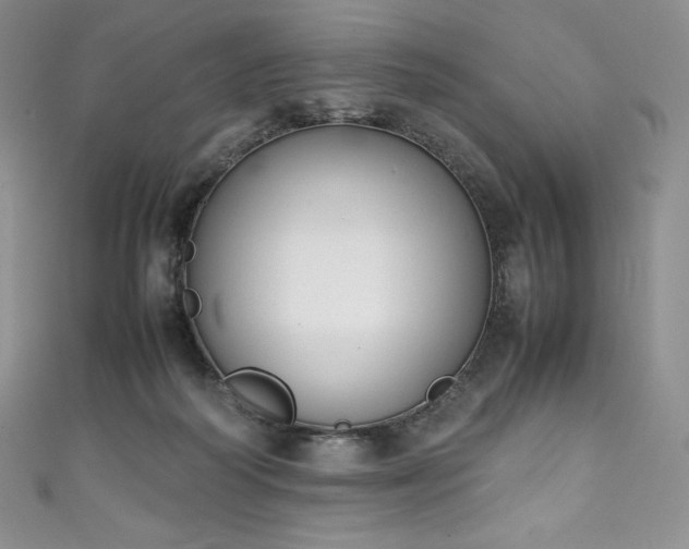 X0000111140218200906301237