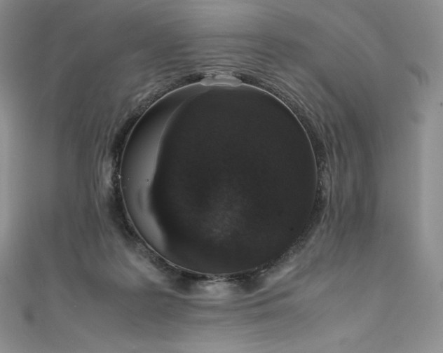 X0000111140219200906301237