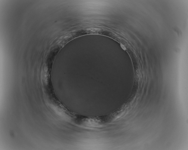 X0000111140223200906301236