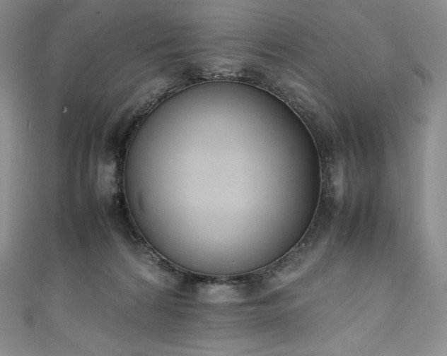 X0000111140224200906301236