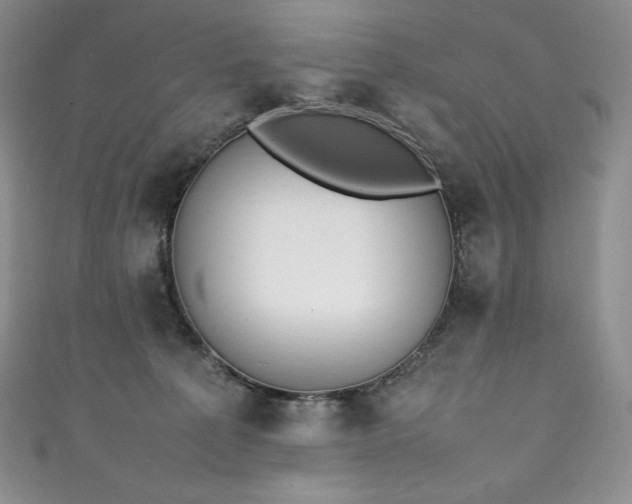 X0000111140225200906301236