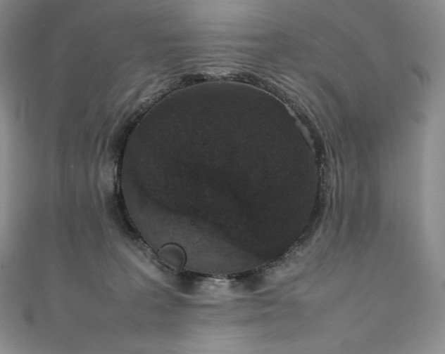 X0000111140227200906301236