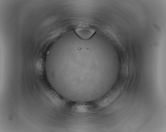 X0000111140228200906301236