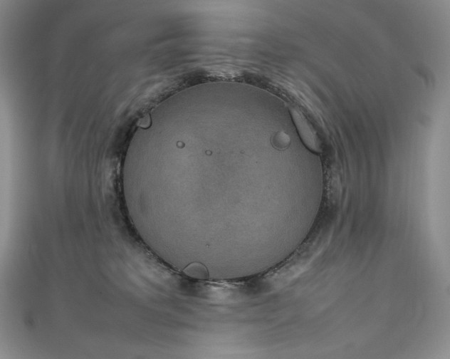 X0000111140229200906301236