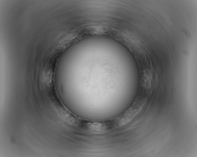 X0000111140230200906301236