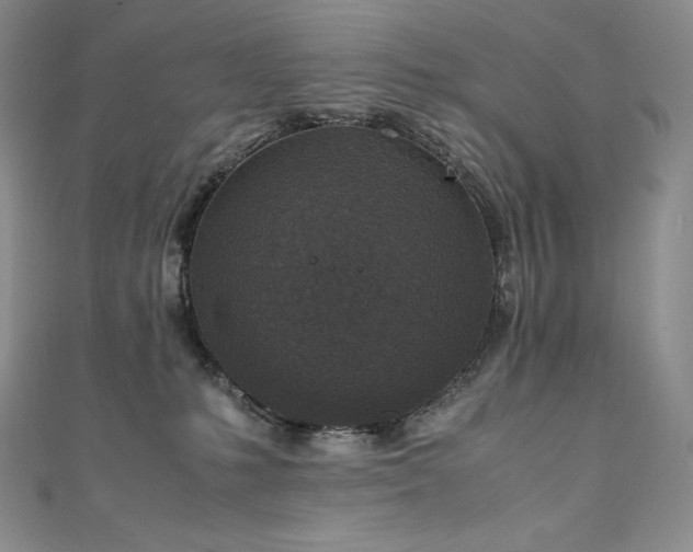 X0000111140231200906301236