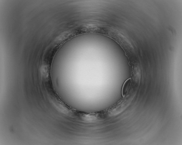 X0000111140232200906301236