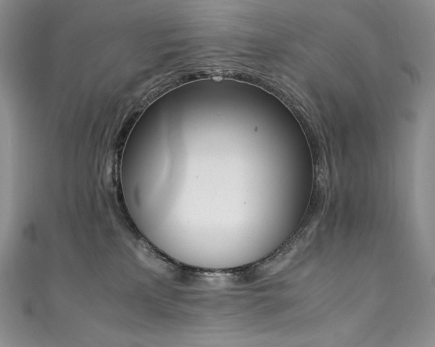 X0000111140233200906301236