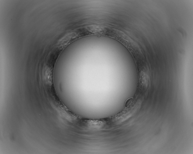 X0000111140234200906301236