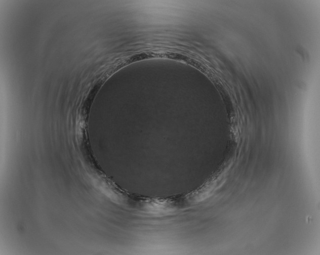 X0000111140235200906301236