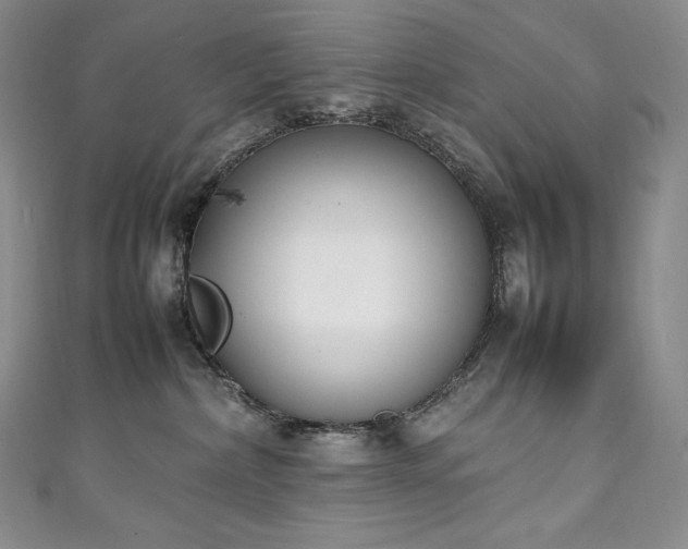 X0000111140236200906301236