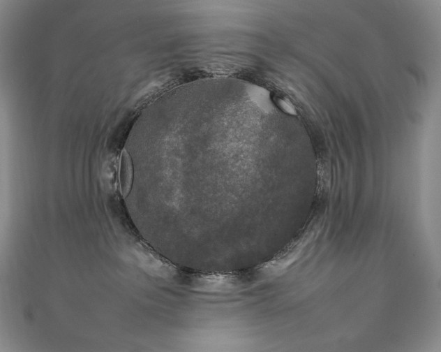 X0000111140237200906301236