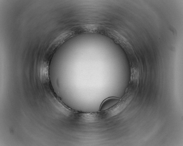 X0000111140238200906301236