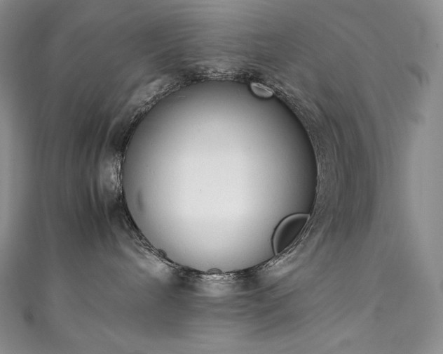 X0000111140240200906301236