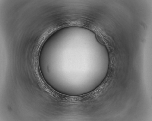 X0000111140241200906301236