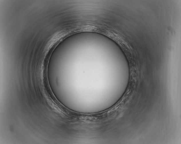 X0000111140242200906301236