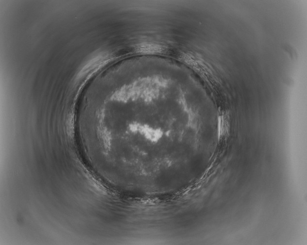 X0000111140243200906301236