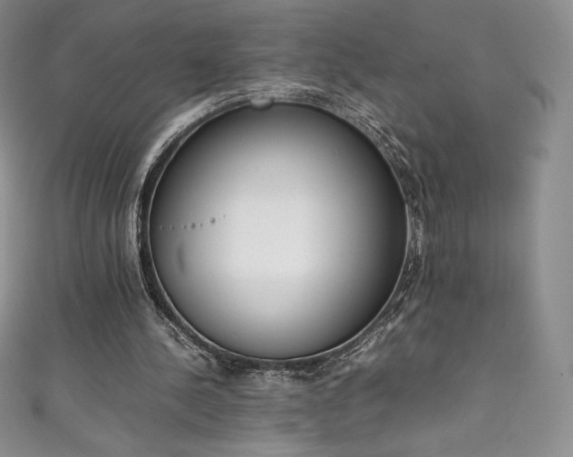 X0000111140244200906301236