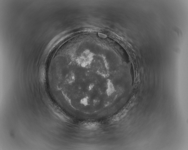 X0000111140247200906301236