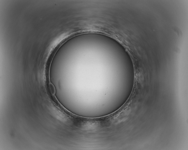 X0000111140248200906301236