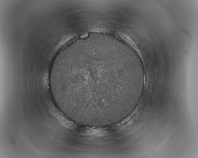 X0000111140249200906301236