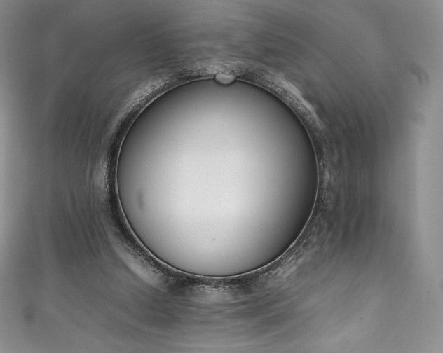 X0000111140250200906301236