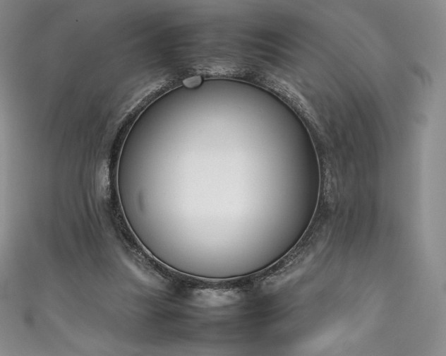 X0000111140251200906301236