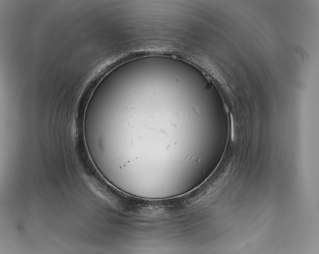 X0000111140252200906301236