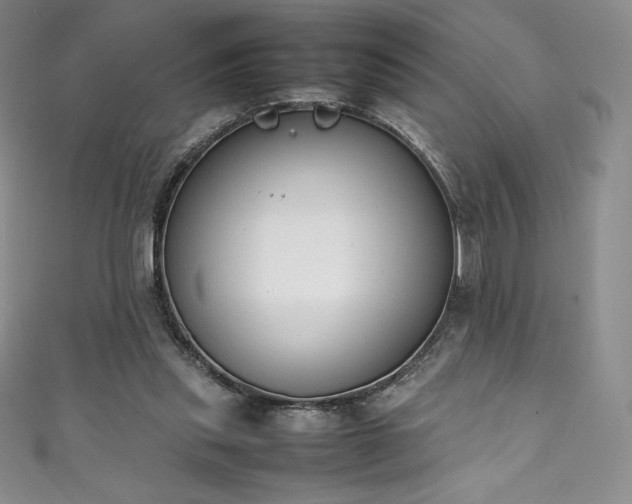 X0000111140253200906301236