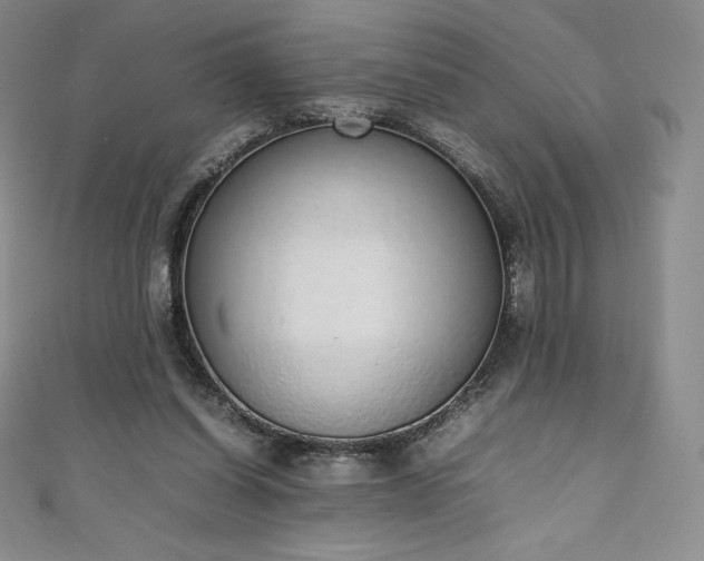 X0000111140254200906301236