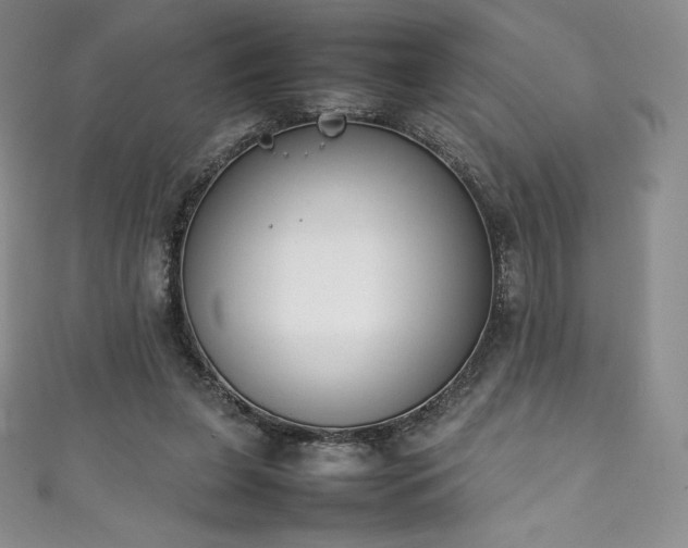 X0000111140255200906301236