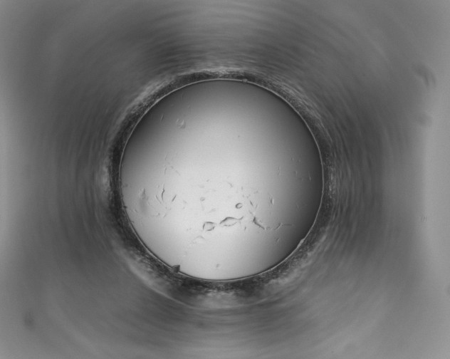 X0000111140256200906301236