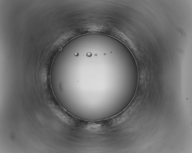 X0000111140257200906301236