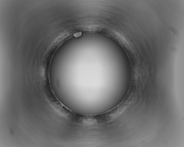 X0000111140258200906301236