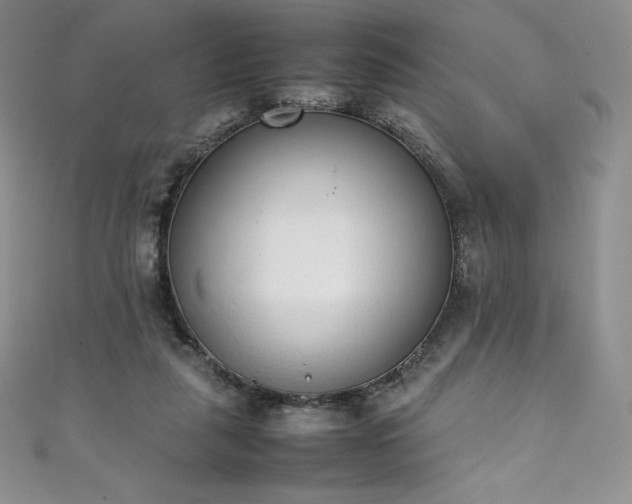 X0000111140259200906301236