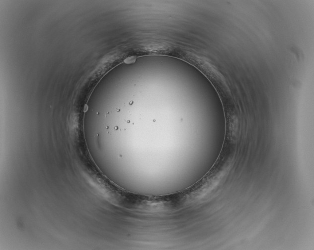 X0000111140260200906301236