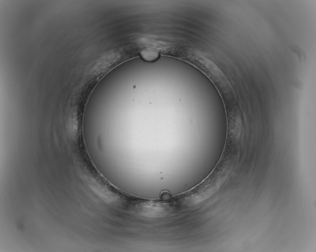 X0000111140261200906301236