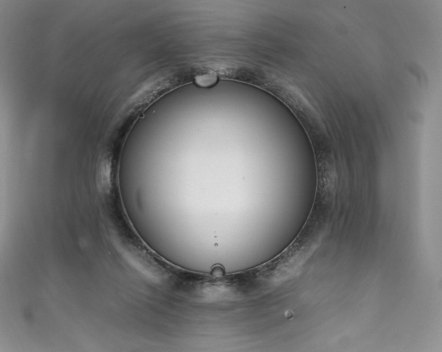 X0000111140262200906301236