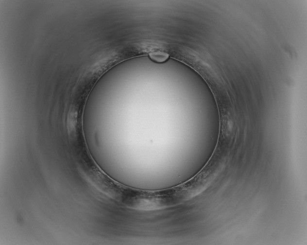 X0000111140263200906301236